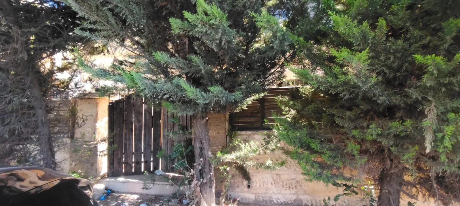 Duplex 103