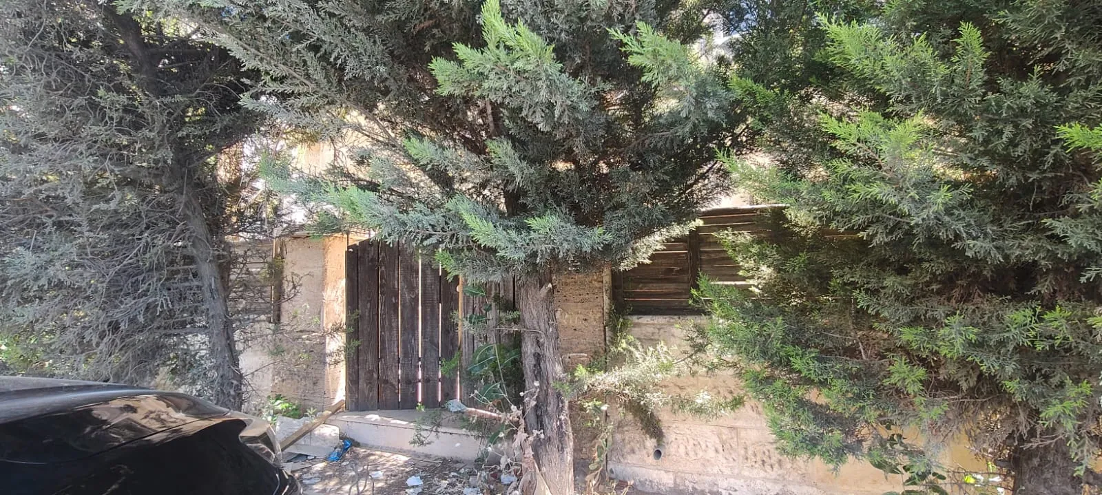 Duplex 103